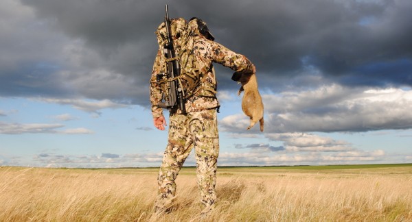 Варминтинг: охота или спорт? Варминтинг: охота или спорт?