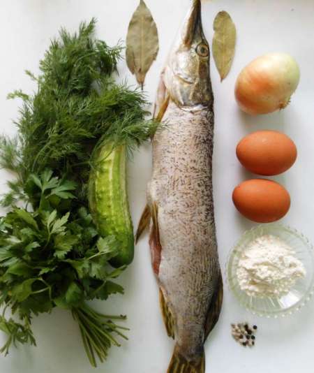 Рыбные галки