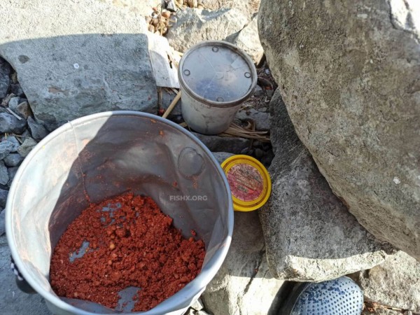 Лещ ловится на флэт и пружину