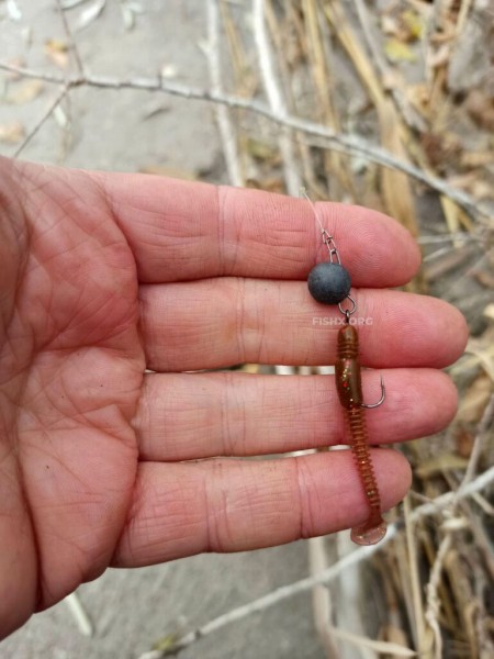 Прогулка с ультралайтом Прогулка с ультралайтом