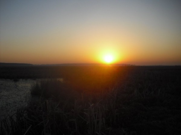 Хмурая весна или необычный сезон охоты.