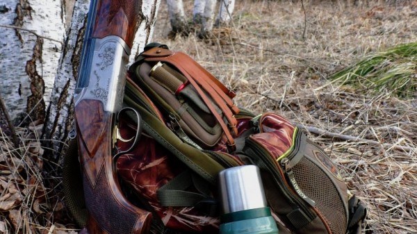 Вечер на тяге и тетеревиный ток Вечер на тяге и тетеревиный ток