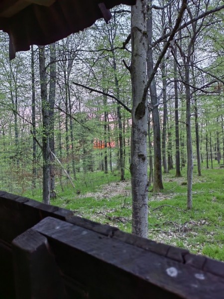 Весенняя охота. Весенняя охота.