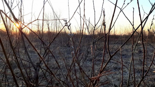 Весенние моменты Охоты!  *2023*