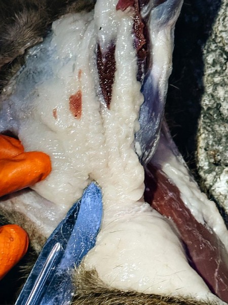 Охота на сурка: 710 метров