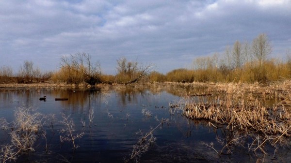 Хорошее утро! Хорошее утро!