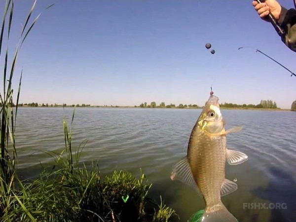 Пруд в Акашево