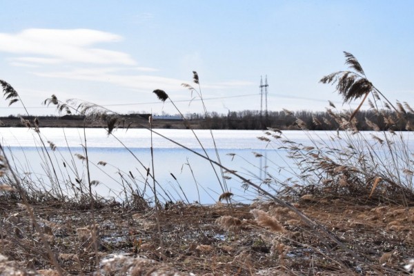 Вот и ледоход,ждём массу уток и гусей))) Вот и ледоход,ждём массу уток и гусей)))