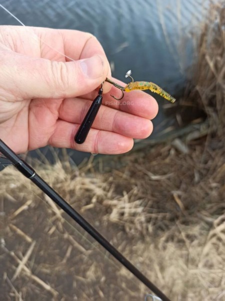 Толстолобик вместо судака на спиннинг