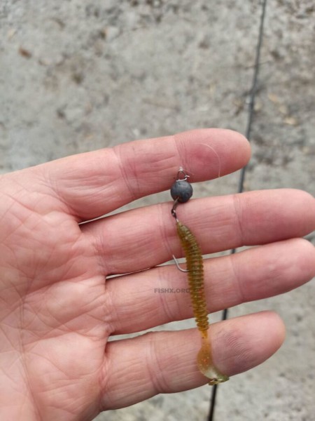 Окунь на спиннинг в начале зимы