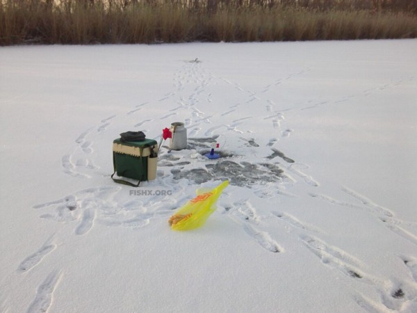 Ловля щуки жерлицами на бывшем колхозном пруду Ловля щуки жерлицами на бывшем колхозном пруду
