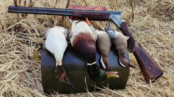 Хорошее утро! Хорошее утро!