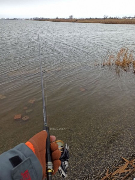 Зимний судак на спиннинг перед ледоставом