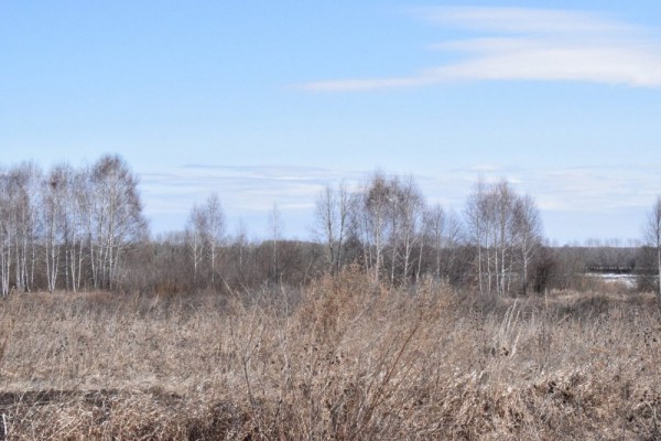 Вот и ледоход,ждём массу уток и гусей))) Вот и ледоход,ждём массу уток и гусей)))