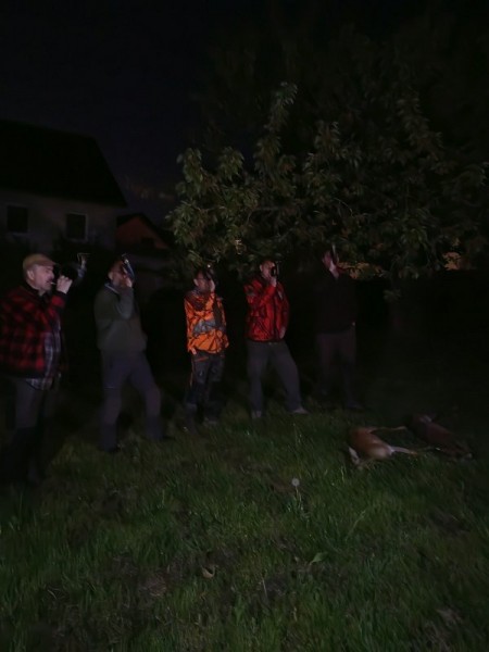 Охота за привидениями. Охота за привидениями.