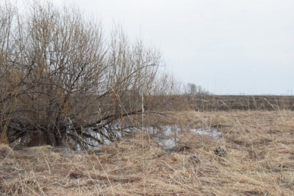 Пошла жара))) Пошла жара)))