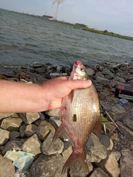 Рыбалка на плотине ТЭС Рыбалка на плотине ТЭС