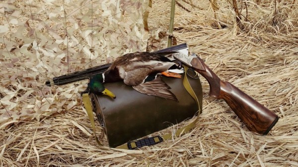 Первая утрянка весеннего сезона Первая утрянка весеннего сезона