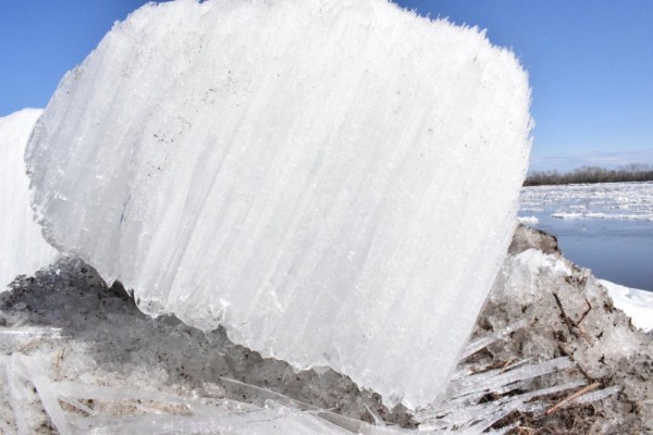 Вот и ледоход,ждём массу уток и гусей))) Вот и ледоход,ждём массу уток и гусей)))