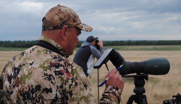 Варминтинг: охота или спорт? Варминтинг: охота или спорт?