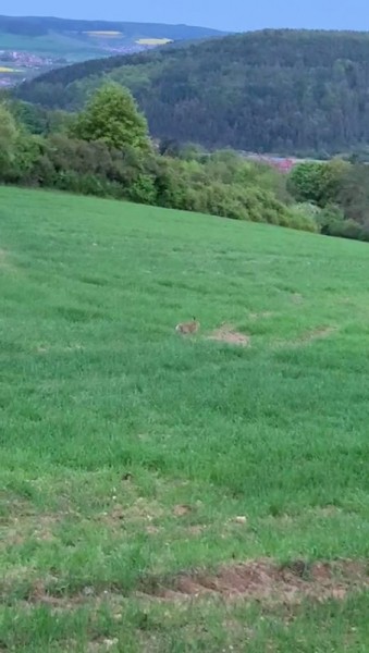 Охота за привидениями. Охота за привидениями.