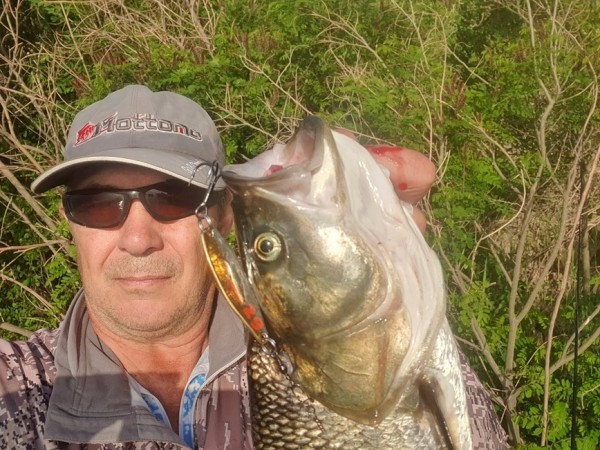 Капризы морского жерехаНачало лета для меня, волгоградского рыболова, это отнюдь не стенания по поводу массового вылета мошки. И я не согласен с поговоркой "Настал июнь - на рыбу плюнь". Одно из самых значительных событий в июне - утренний жерех на Волгоградском водохранилище. Его активизация около берега наступает с определенным прогревом воды. Этого моменты мы ждем с нетерпением, и недавно первое свидание с ним у меня уже состоялось. За ним сразу же второе.