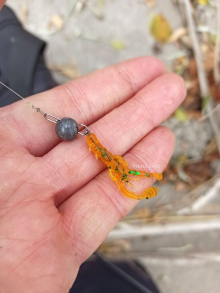 Прогулка с ультралайтом Прогулка с ультралайтом