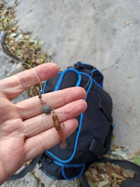 Окунь на спиннинг в начале зимы