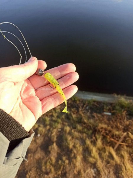 Толстолобик вместо судака на спиннинг