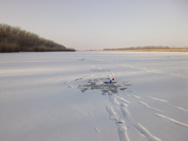 Ловля щуки жерлицами на бывшем колхозном пруду Ловля щуки жерлицами на бывшем колхозном пруду