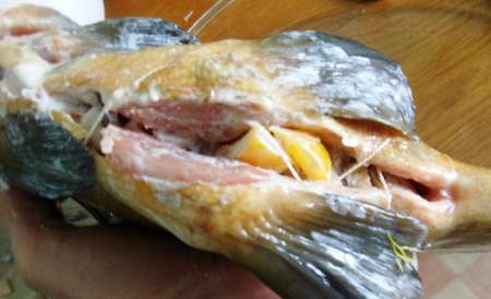 Линь, фаршированный овощами и запечённый в духовке