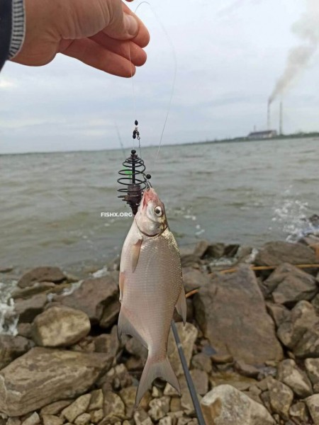 Рыбалка на плотине ТЭС Рыбалка на плотине ТЭС