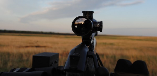 Варминтинг: охота или спорт? Варминтинг: охота или спорт?