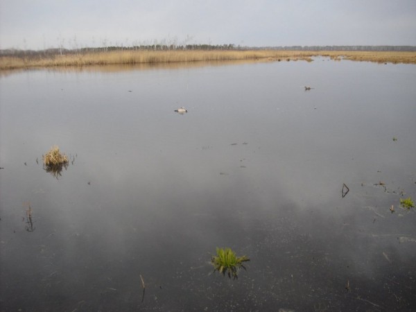 Хмурая весна или необычный сезон охоты.