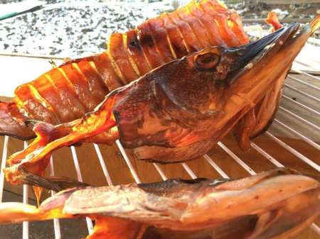 Копчение юколы из щуки на морозе Копчение юколы из щуки на морозе