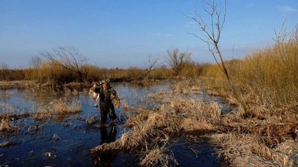 Хорошее утро! Хорошее утро!