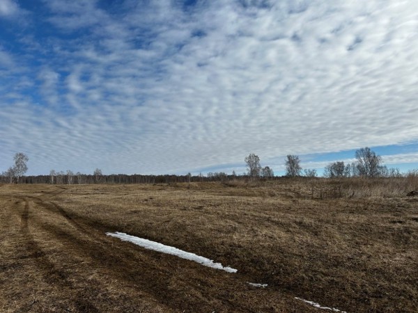 Ради звуков гусиного гомона. Весна 2023 Ради звуков гусиного гомона. Весна 2023