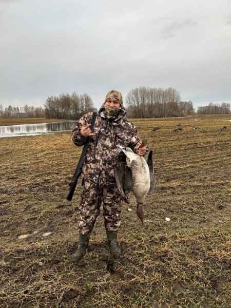 Ради звуков гусиного гомона. Весна 2023 Ради звуков гусиного гомона. Весна 2023