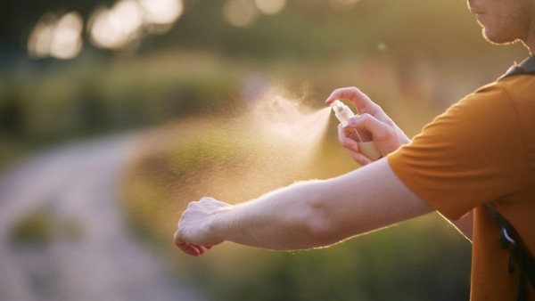 Летние кровососы и защита от них Летние кровососы и защита от них