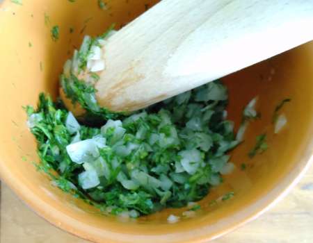 Рыбные галки