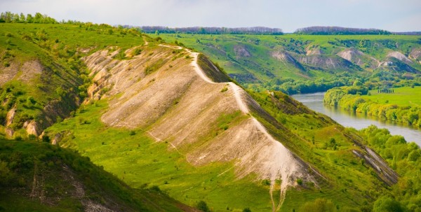 За косулей с манком За косулей с манком