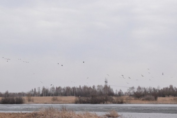 Пошла жара))) Пошла жара)))