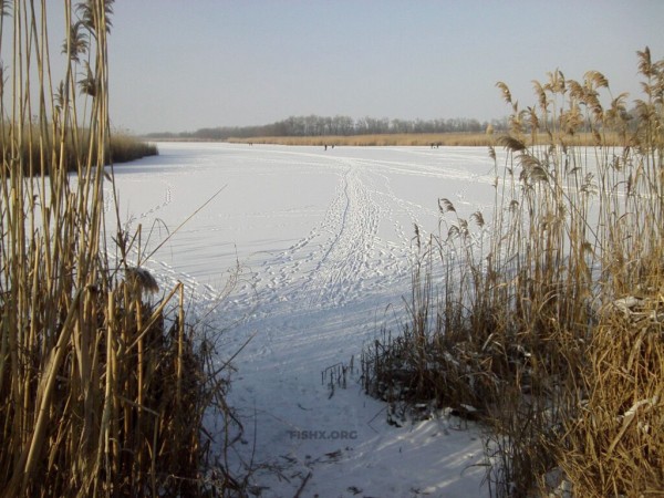 Ловля щуки жерлицами на бывшем колхозном пруду Ловля щуки жерлицами на бывшем колхозном пруду
