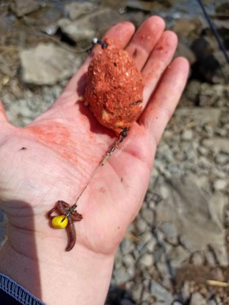 Рыбалка на плотине ТЭС Рыбалка на плотине ТЭС