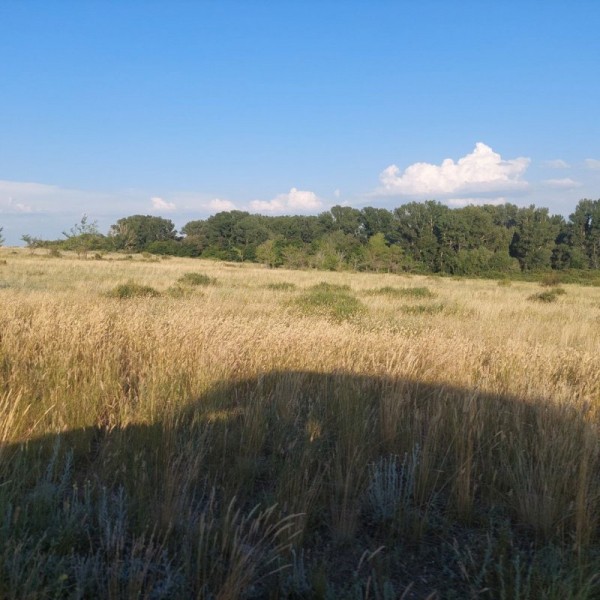 Холодное с горячим... Холодное с горячим...