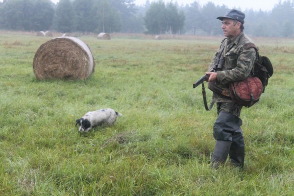 В Московском регионе с 25 июля стартует сезон охоты на пернатую дичьСтоличное общество охотников и рыболовов издало распоряжение «Об организации охоты на пернатую дичь с подружейными собаками и ловчими птицами в летне-осенний сезон 2023 года» В Московском регионе с 25 июля стартует сезон охоты на пернатую дичьСтоличное общество охотников и рыболовов издало распоряжение «Об организации охоты на пернатую дичь с подружейными собаками и ловчими птицами в летне-осенний сезон 2023 года»