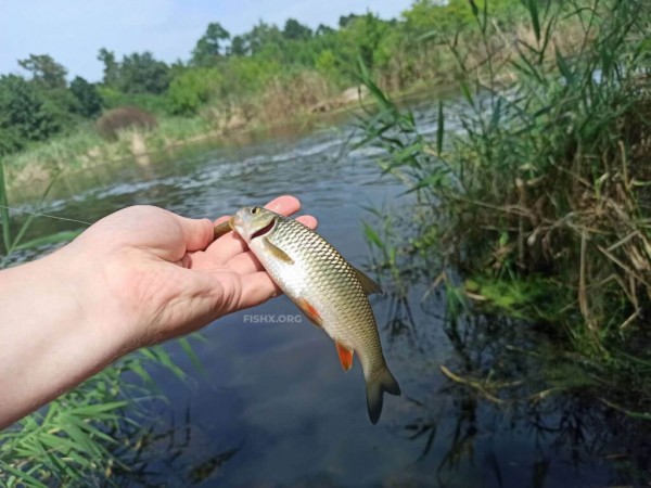 Ультралайт на лесном озере Ультралайт на лесном озере