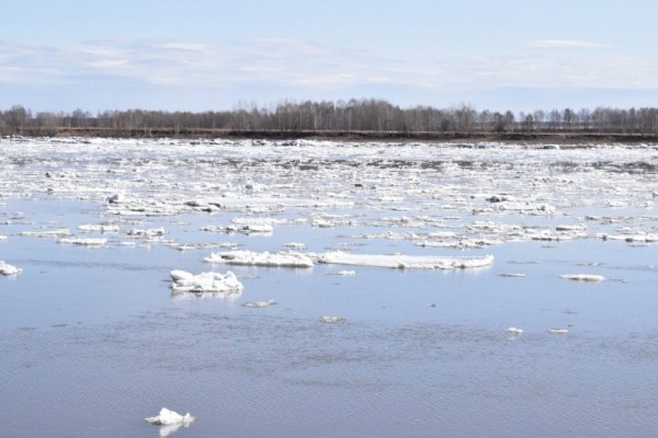 Вот и ледоход,ждём массу уток и гусей))) Вот и ледоход,ждём массу уток и гусей)))