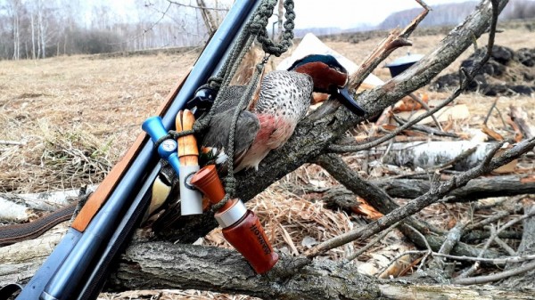 Весенние моменты Охоты!  *2023*