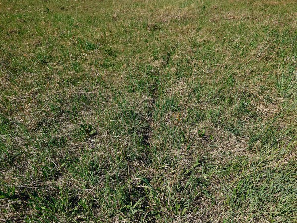 Открытие охоты на сурка с мелкашкой